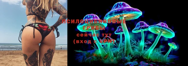 стафф Абинск
