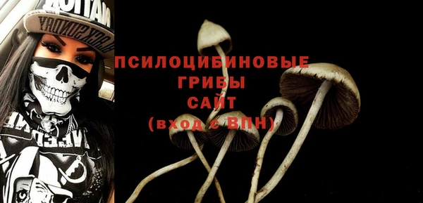 гидра Алзамай