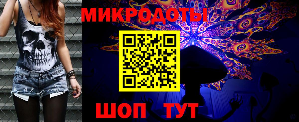 Псилоцибиновые грибы Psilocybine cubensis Заводоуковск