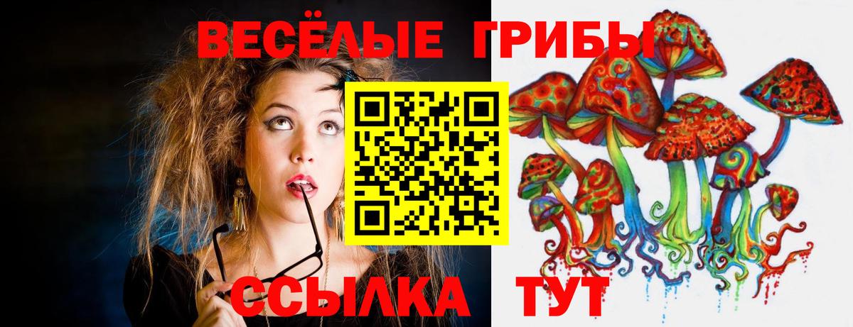 Заводоуковск  Псилоцибиновые грибы ЛСД  Вход с VPN 