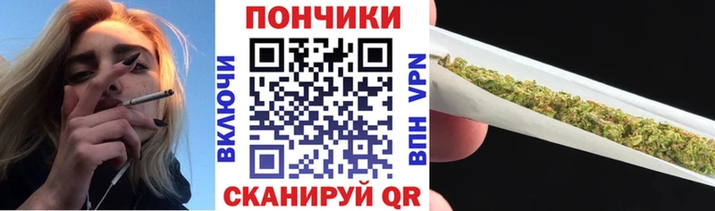 Бошки Шишки OG Kush  гидра ТОР  Заводоуковск  магазин продажи наркотиков 